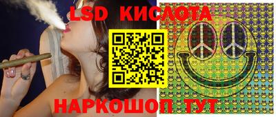 стаф Можга