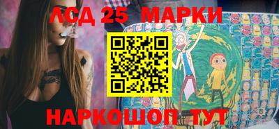 стаф Можга