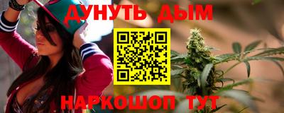 стаф Можга