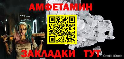 стаф Можга