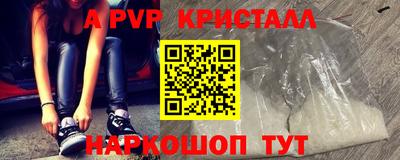 стаф Можга