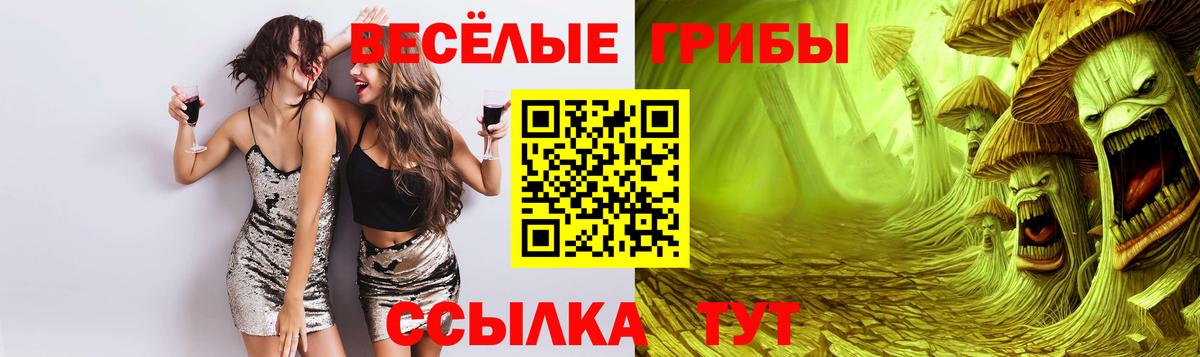 Электрогорск  Галлюциногенные грибы Magic Shrooms  Вход с VPN 